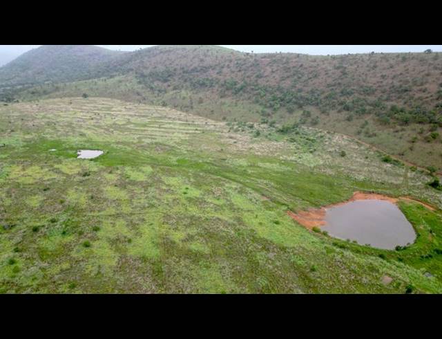 FARM FOR SALE IN MIDDELBURG RURAL